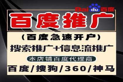 某品牌如何通过SEM代运营服务公司实现增长